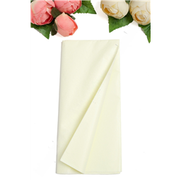 Бумага тишью 50*66 см (10 листов), кремовый №9064