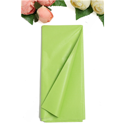 Бумага тишью 50*66 см (10 листов), салатовый №382
