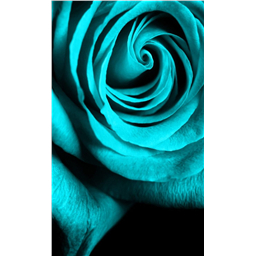 Морская волна - сухой жирораст.краситель, 5 г