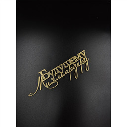 Топпер Будущему миллиардеру 1, золото